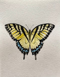 Butterfly Watercolor Illustration - Tiger Swallowtail Butterfly