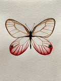 Butterfly Watercolor Illustration - Blush Butterfly