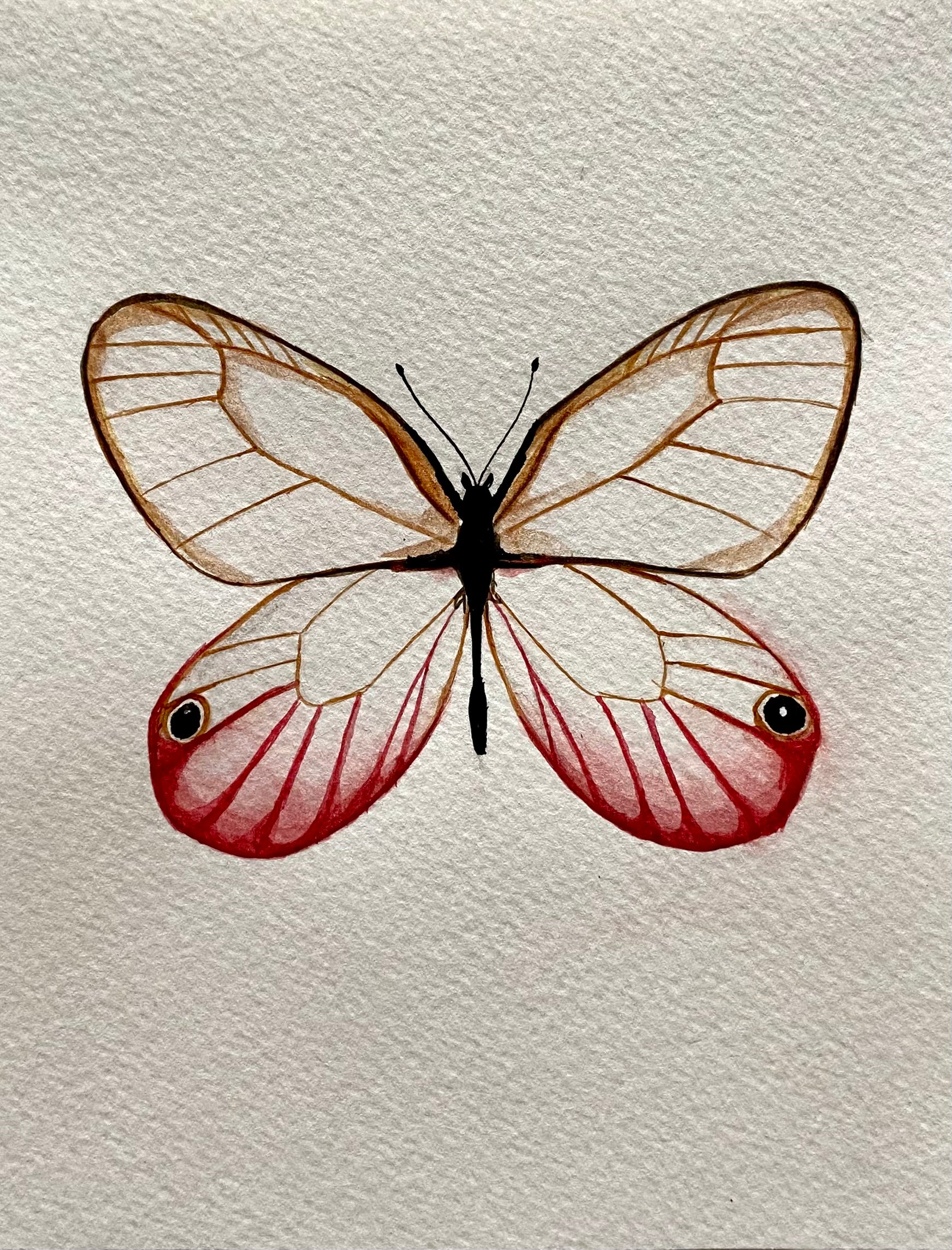 Butterfly Watercolor Illustration - Blush Butterfly