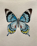 Butterfly Watercolor Illustration - Swallowtail Butterfly