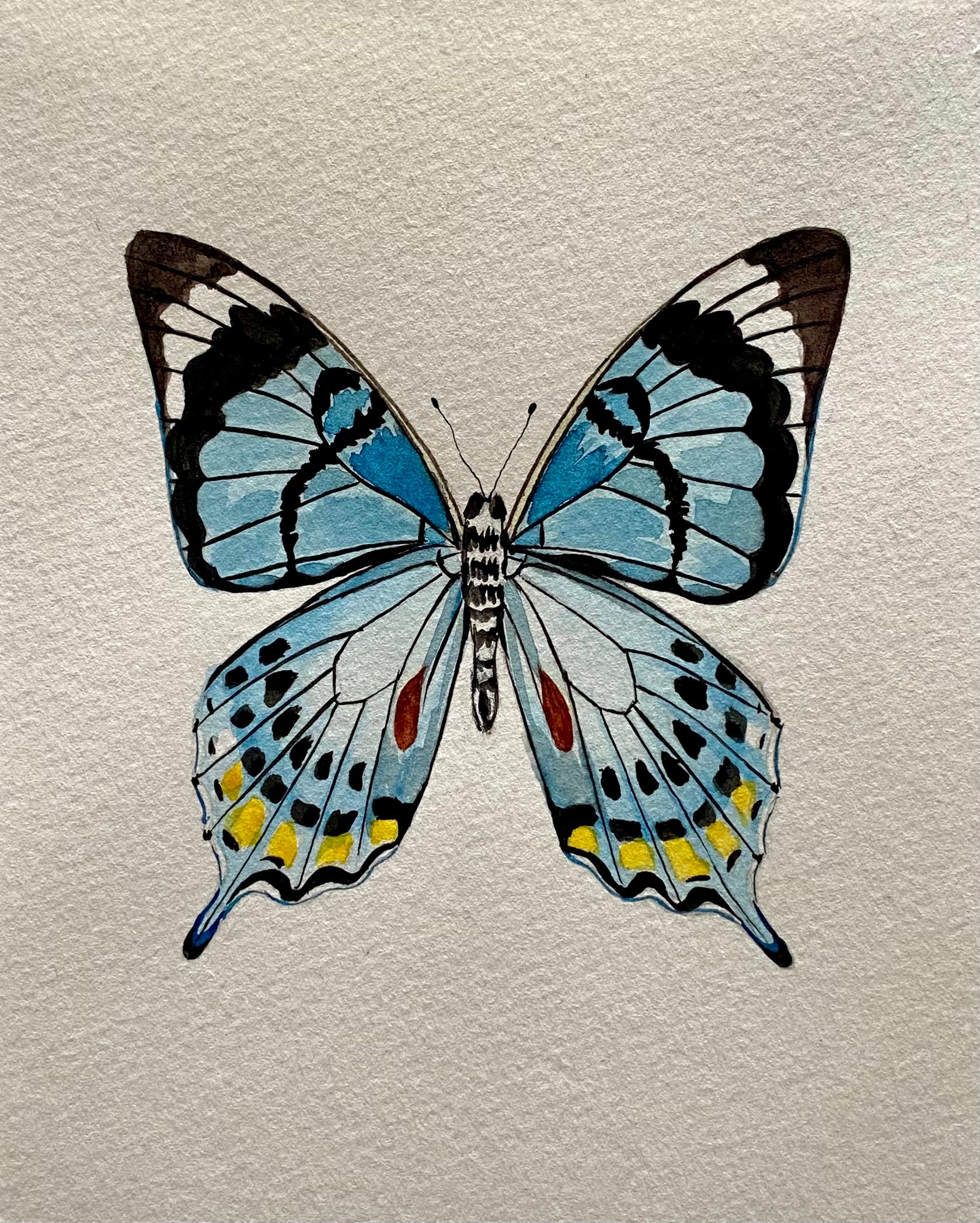 Butterfly Watercolor Illustration - Swallowtail Butterfly