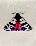 Moth Watercolor Illustration - Hebe Tiger Moth